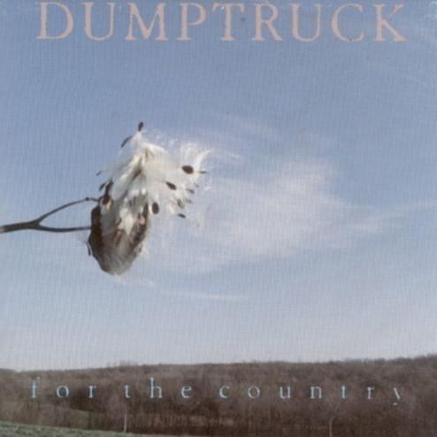 Cover image for For the Country