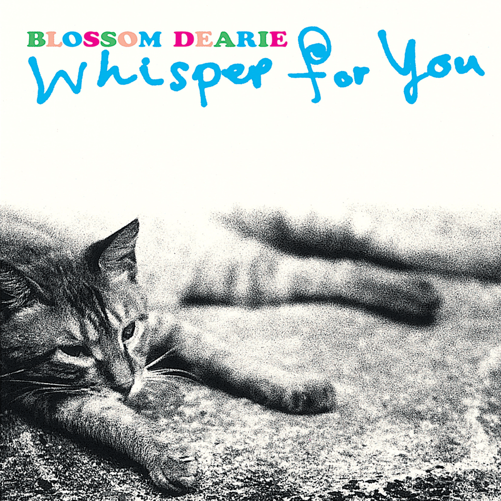 Cover image for Whisper for You