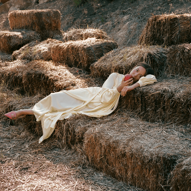 Album cover art for "True True Friend - Sped Up" by Laufey