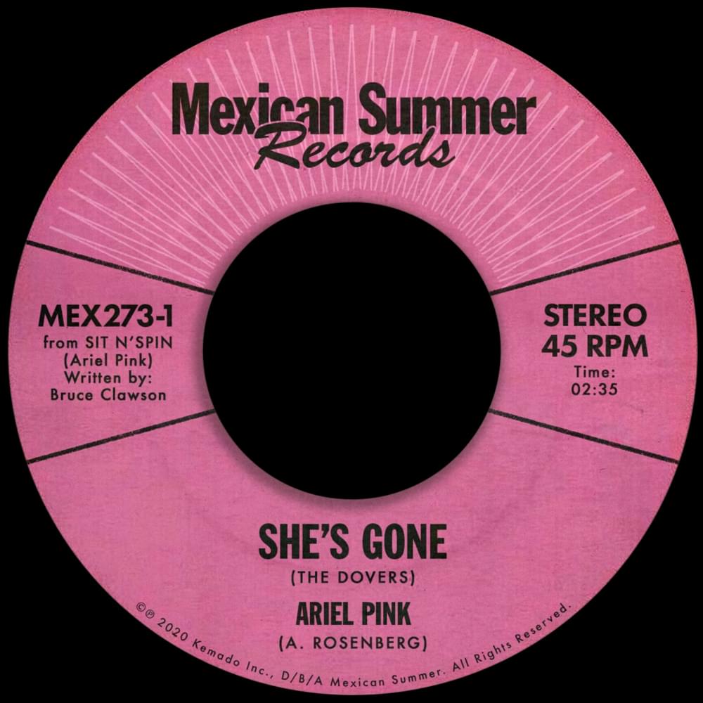 Album cover art for "She’s Gone" by Ariel Pink
