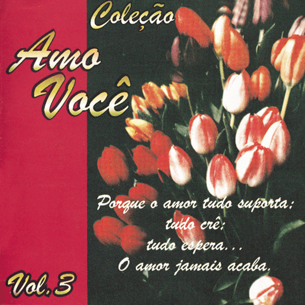 Album cover art for "Amar Você" by Fernanda Brum