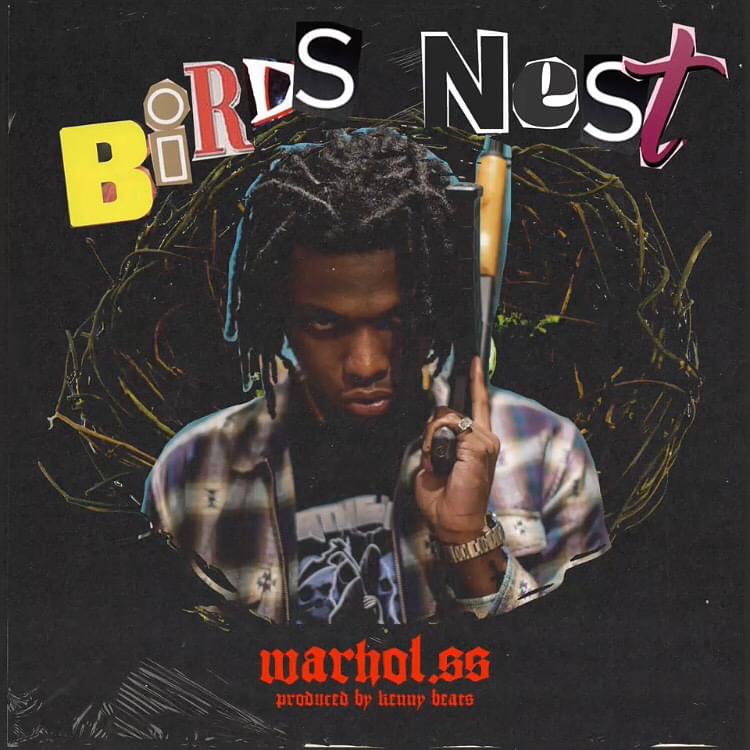 Bird’s Nest by Warhol.SS