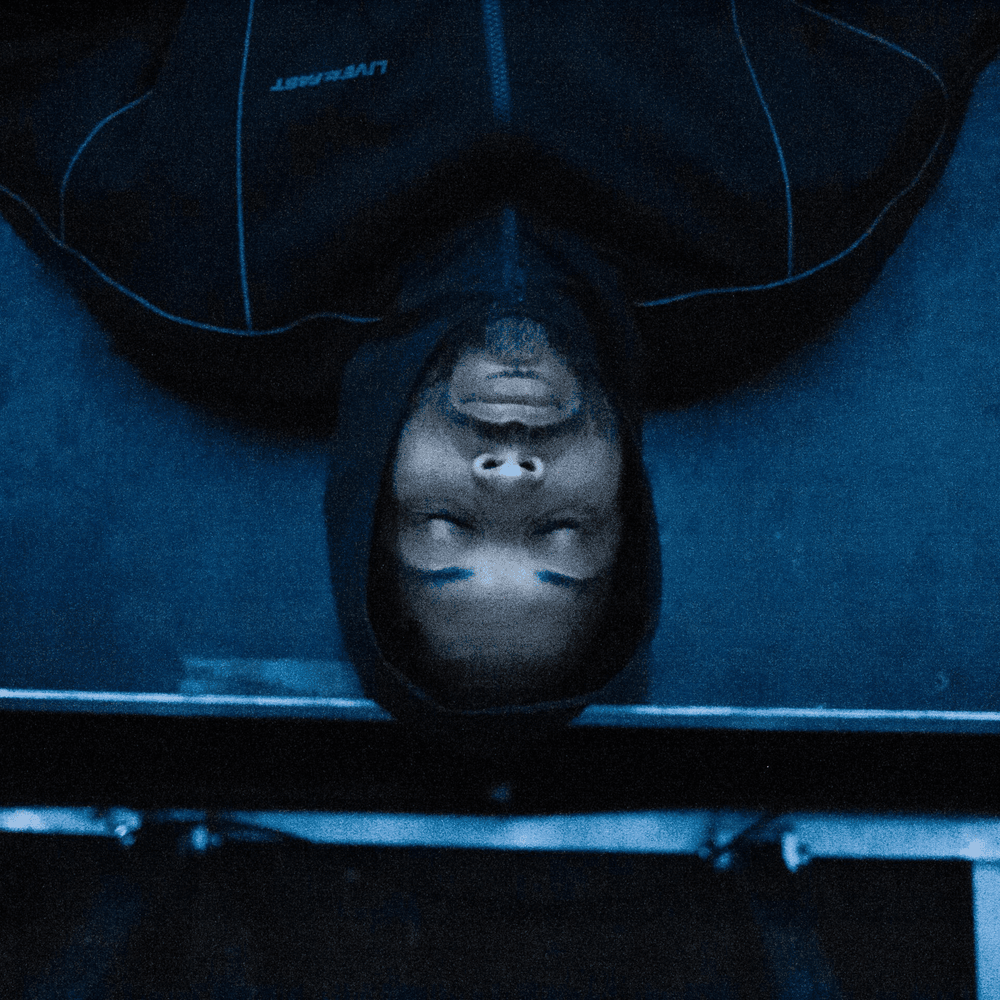 Cover image for Disiz