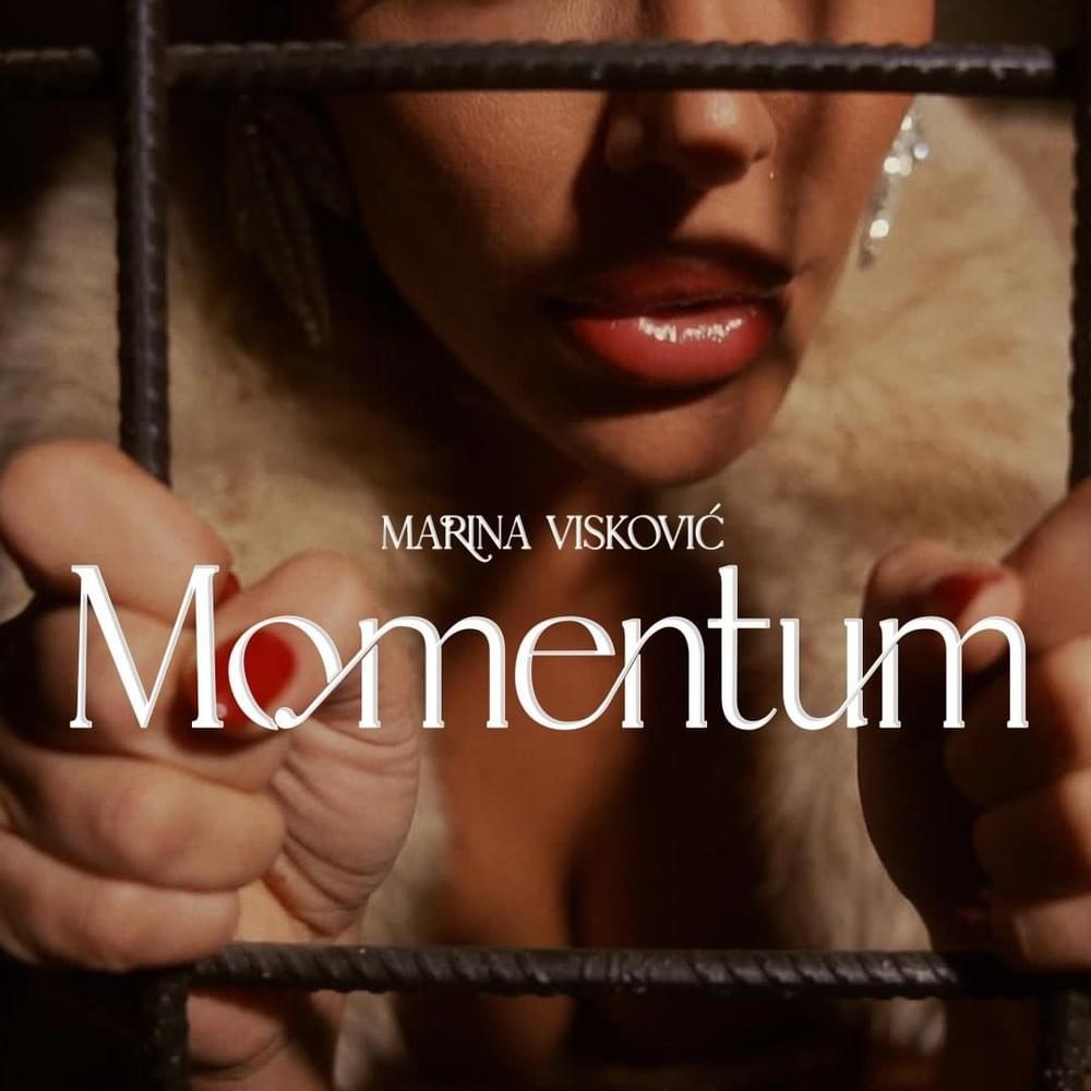 Cover image for Momentum