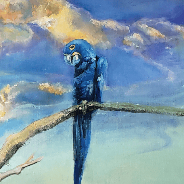 Album cover art for "Cross the Sea" by Alex G