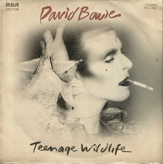Album cover art for "Teenage Wildlife" by David Bowie