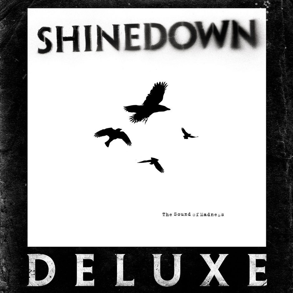Album cover art for "The Energy" by Shinedown