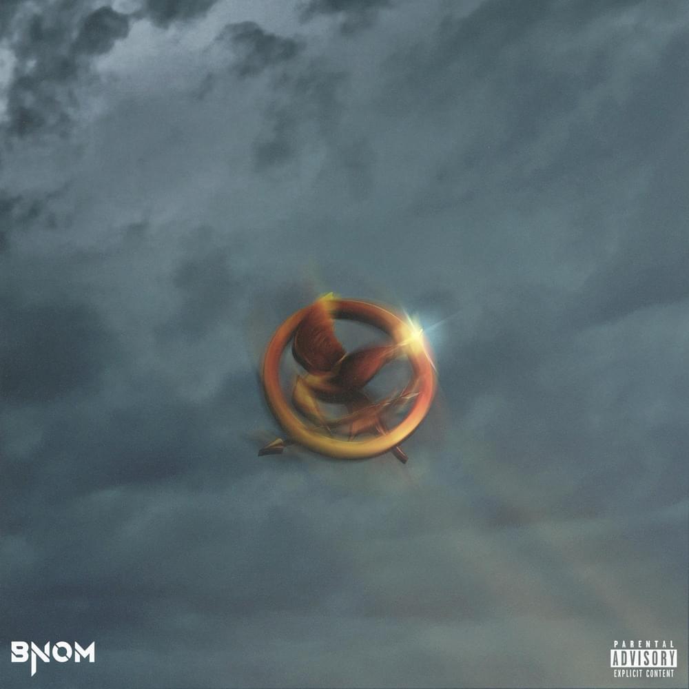 Cover image for District 12