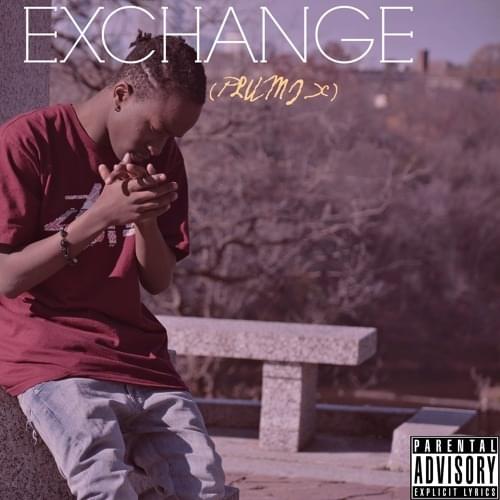 Album cover art for "Exchange (Plumix)" by KayCyy