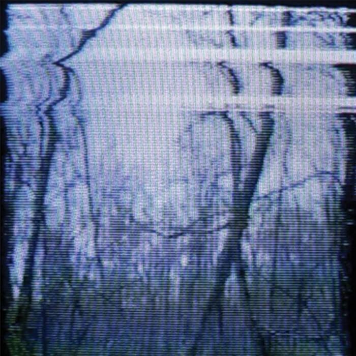 Cover image for this is me letting go