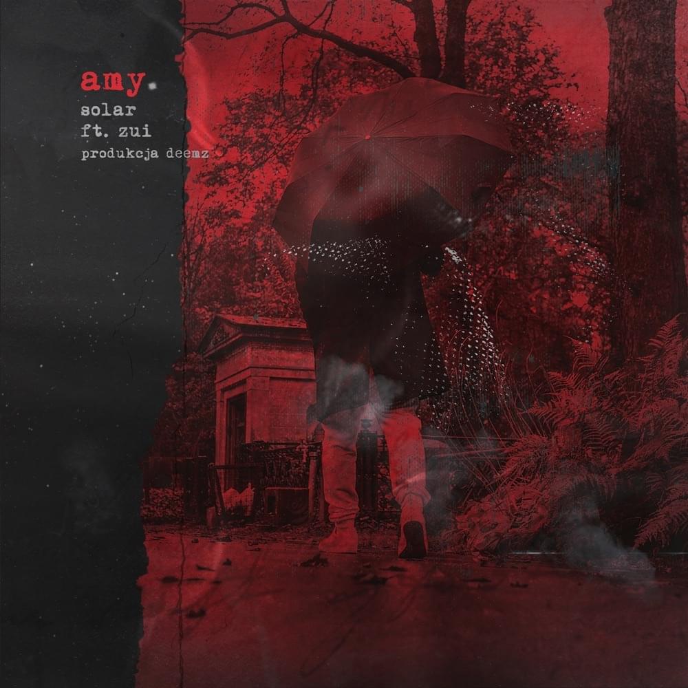 Album cover art for "amy" by Solar (POL) & Zui