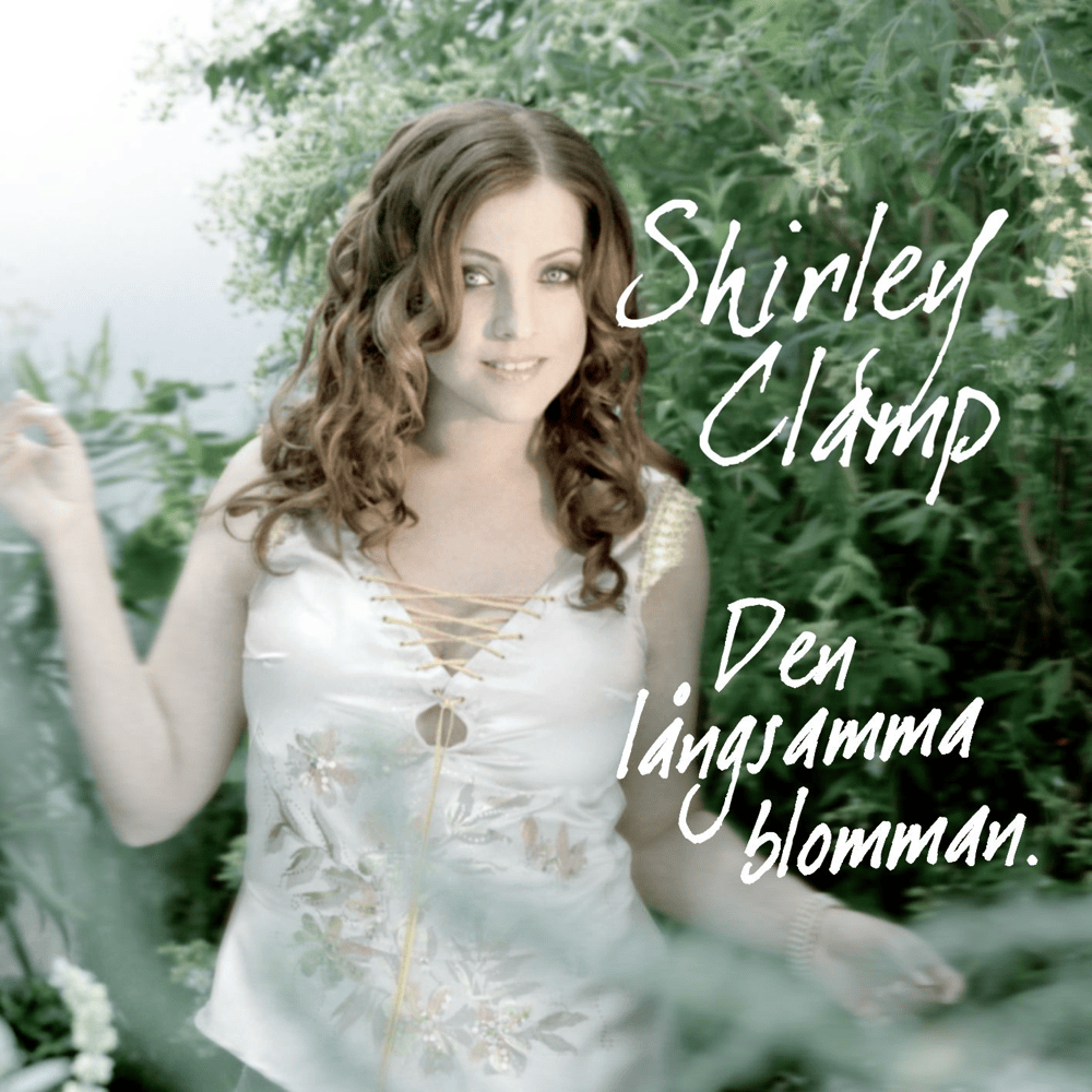 Jag fick låna en ängel by Shirley Clamp