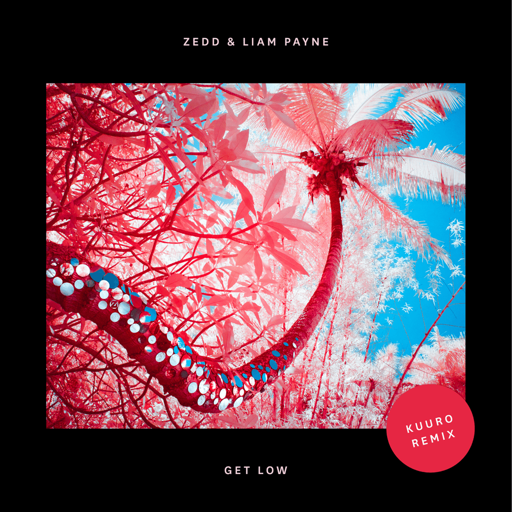 Album cover art for "Get Low (KUURO Remix)" by Zedd