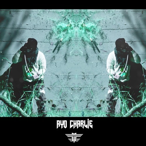 Album cover art for "AYOCHARLIE" by Adult Swim