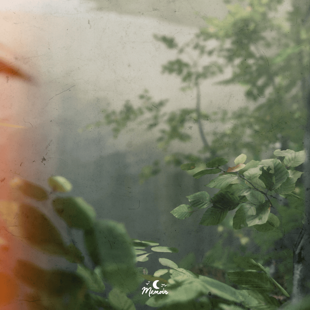 Spring by D0d