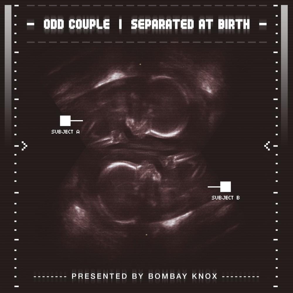 Cover image for Separated at Birth