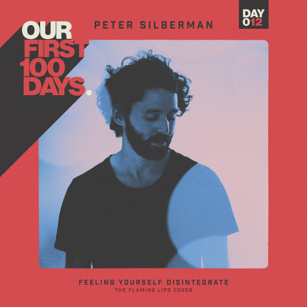Album cover art for "Feeling Yourself Disintegrate" by Peter Silberman