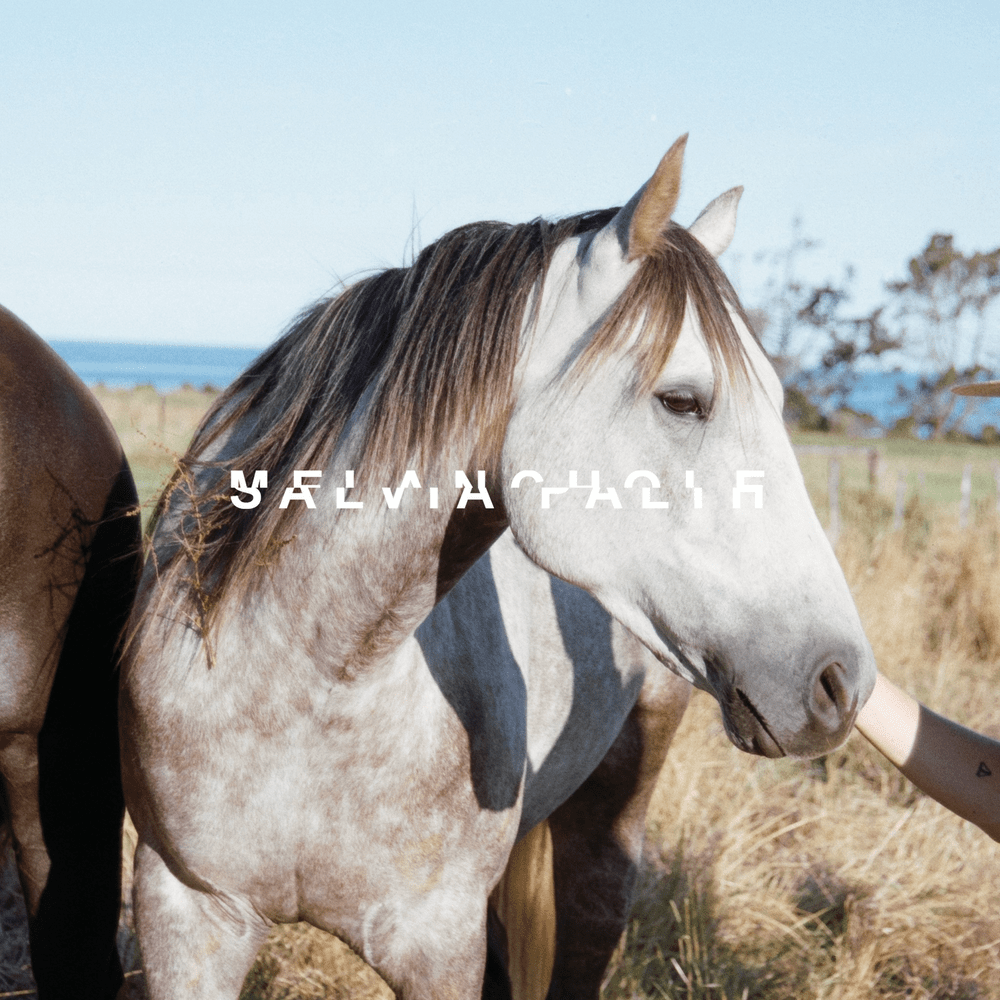 Cover image for melanchole (remaster)