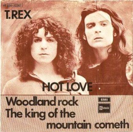 Album cover art for "Woodland Rock" by T. Rex
