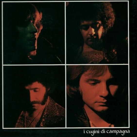 Tu Sei Tu by I Cugini Di Campagna
