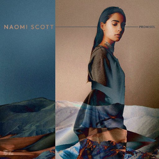 Cover image for Promises