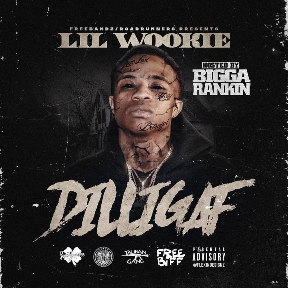 Cover image for DILLIGAF