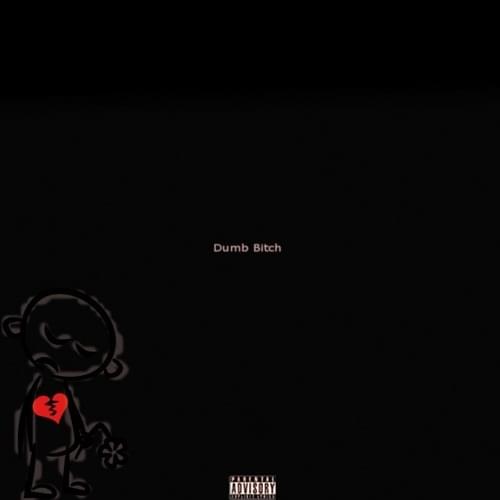 Album cover art for "Dumb Bitch" by Cash Cobain