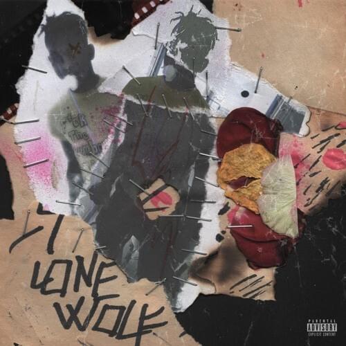 Cover image for lone**w0lf