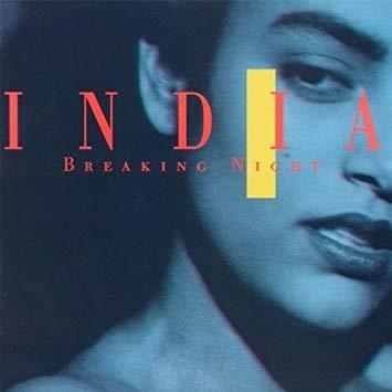 Cover image for Breaking Night