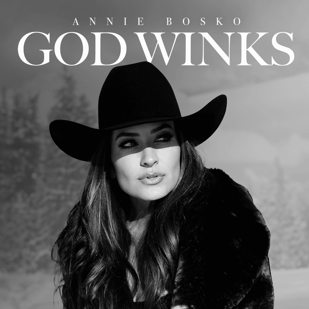 Album cover art for "God Winks" by Annie Bosko