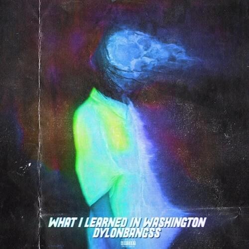 Cover image for What I Learned in Washington