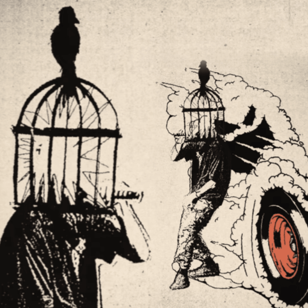 Album cover art for "Bird in a Cage" by Kasabian