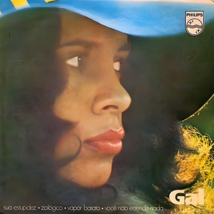 Album cover art for "Você Não Entende Nada" by Gal Costa