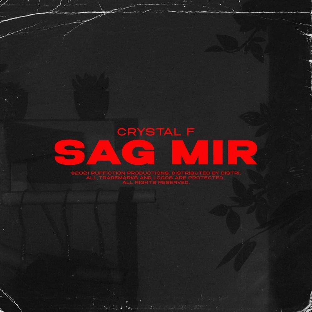 Cover image for Sag mir