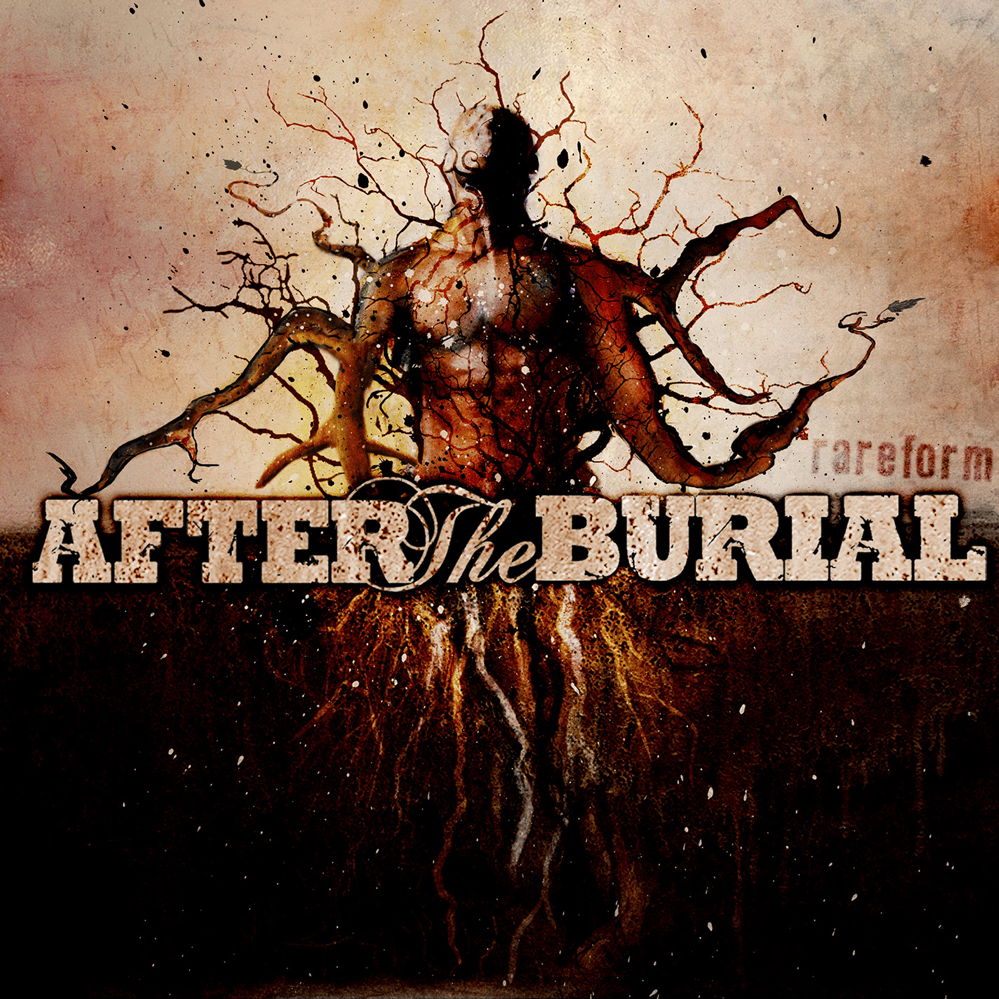 Cover image for Rareform