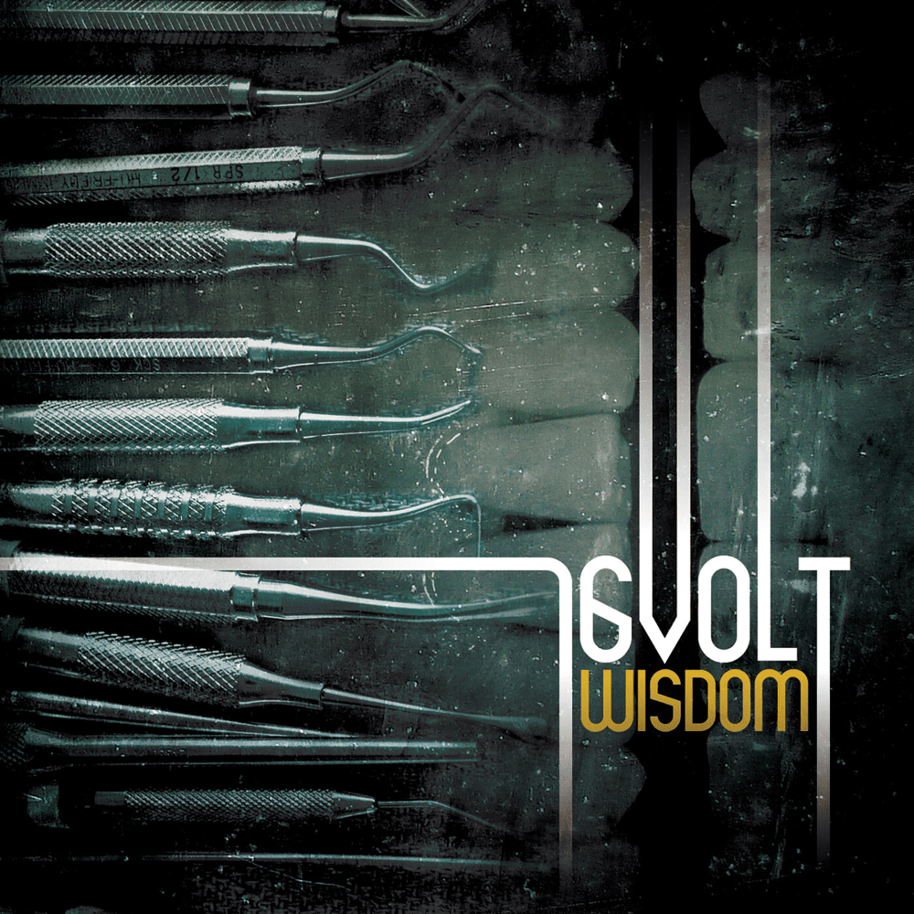 Cover image for Wisdom (Remastered)