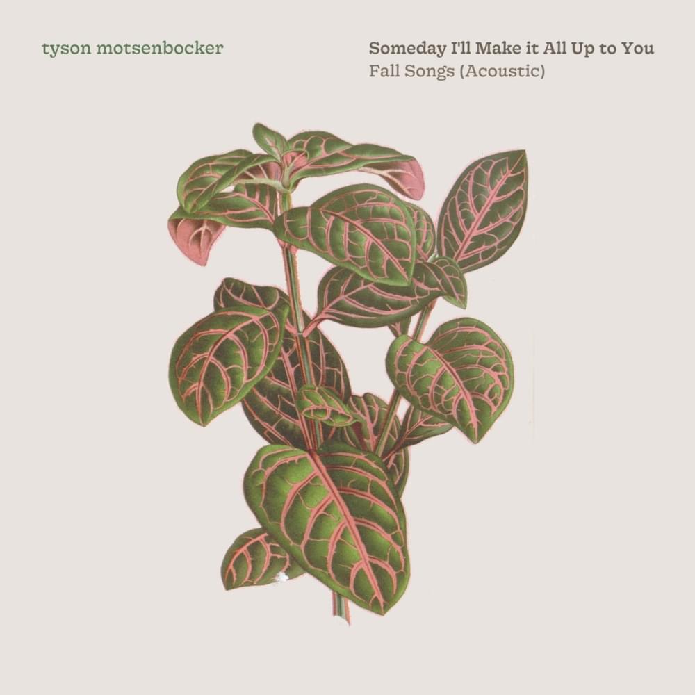 I Miss the Old Days Too - Acoustic by Tyson Motsenbocker