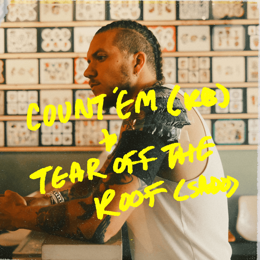 Cover image for COUNT ’EM / TEAR OFF THE ROOF (REMIXES)
