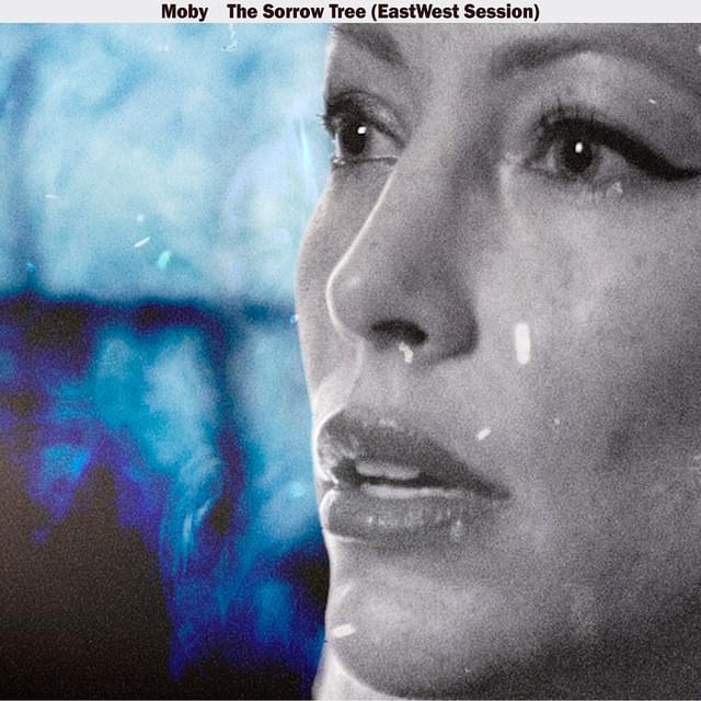 Album cover art for "The Sorrow Tree" by Moby