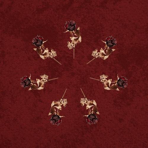 Album cover art for "7" by Fukkit