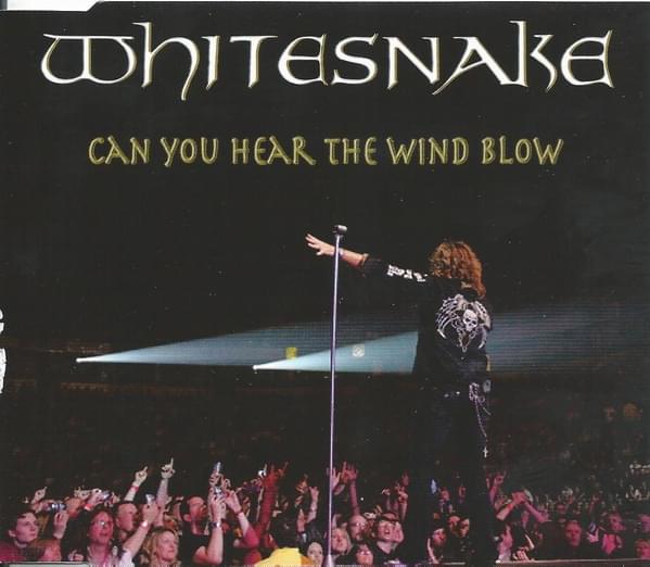 Album cover art for "Can You Hear the Wind Blow" by Whitesnake