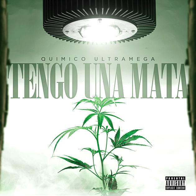Tengo Una Mata by Químico Ultra Mega