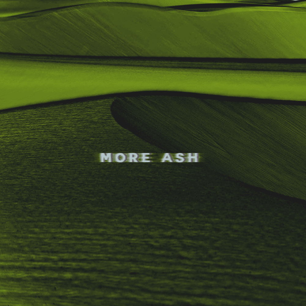 Cover image for More ASH