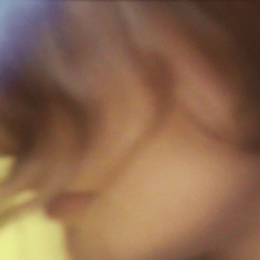 Album cover art for "Rosy" by Wet