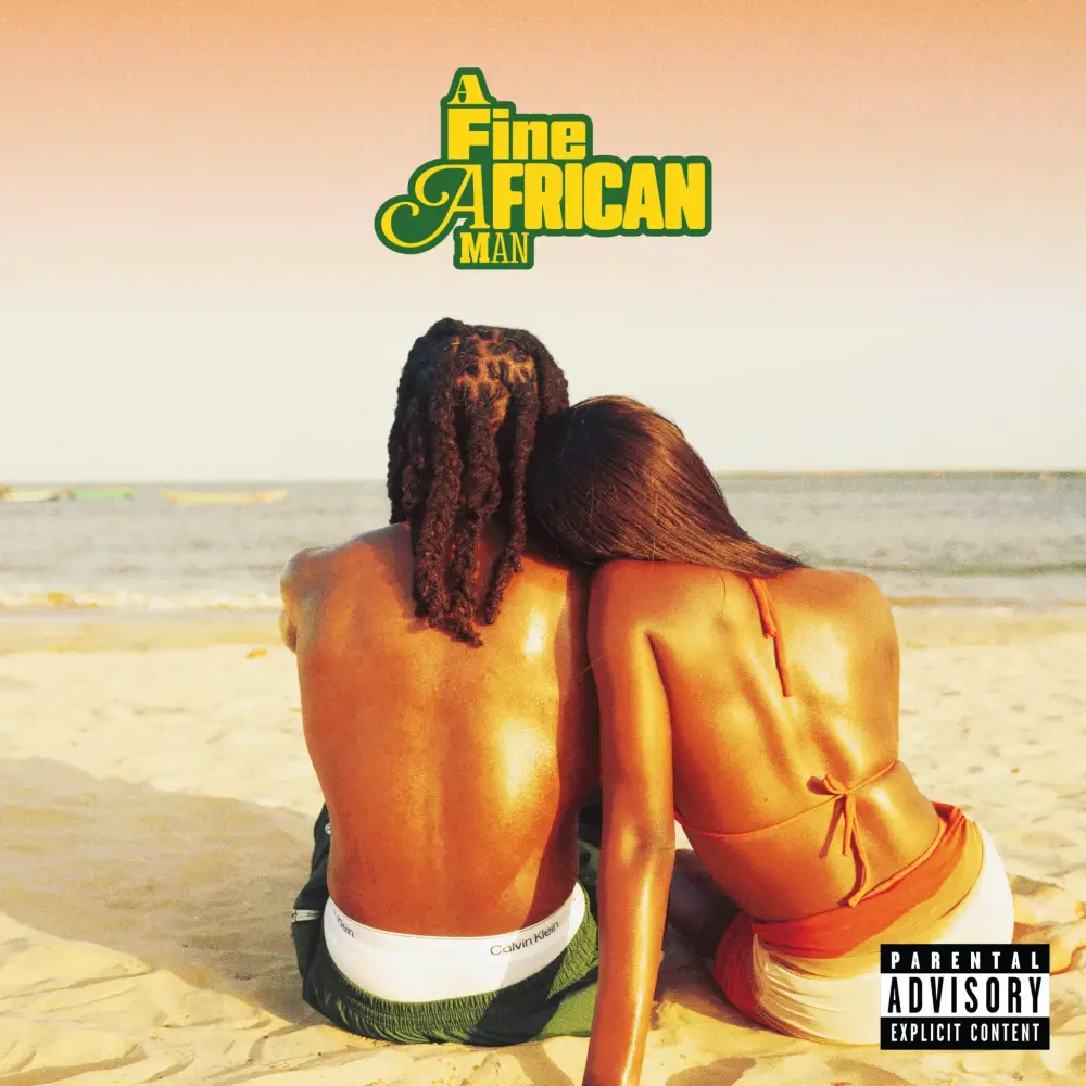 Cover image for A Fine African Man