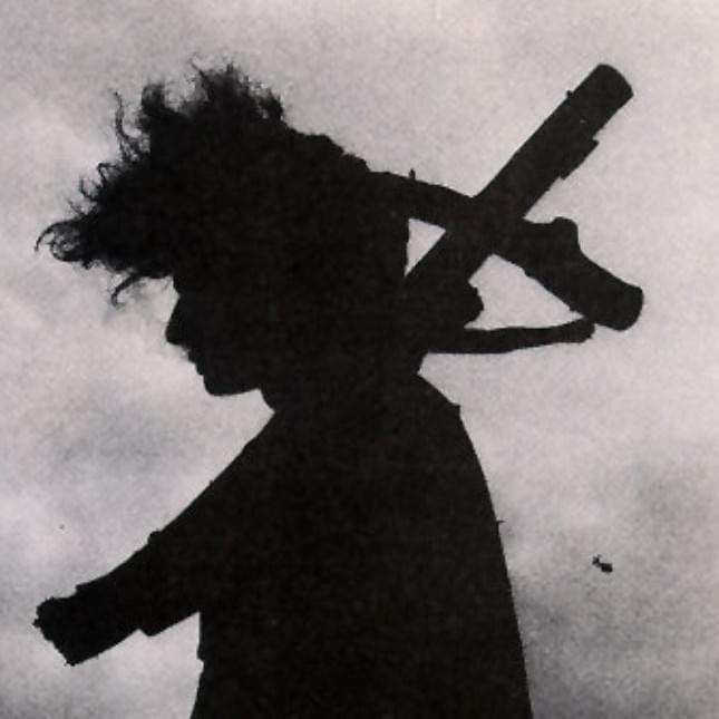 Cover image for Foetus