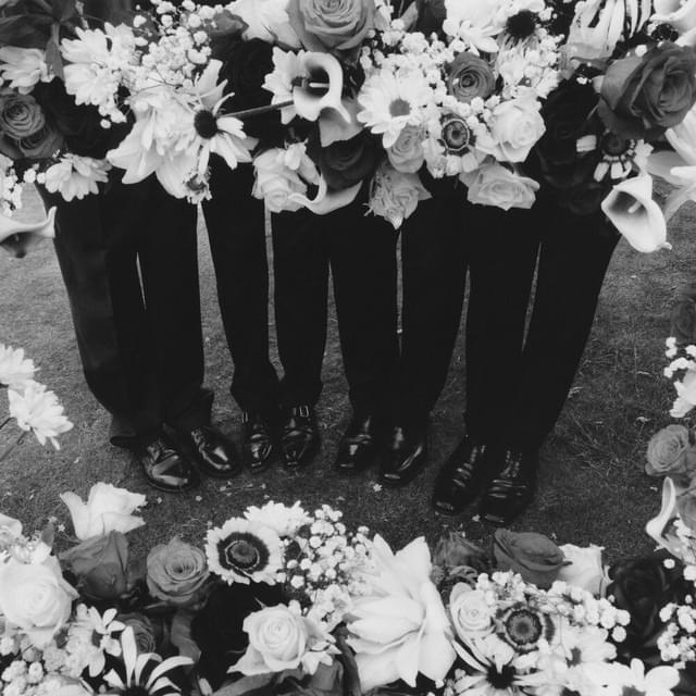 Album cover art for "I’m in Love With You" by The 1975
