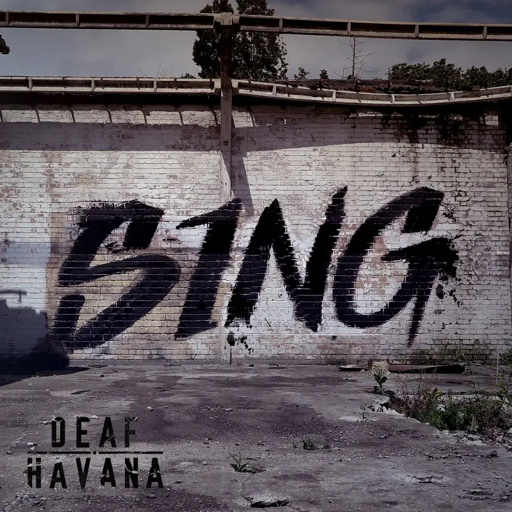Album cover art for "Sing" by Deaf Havana