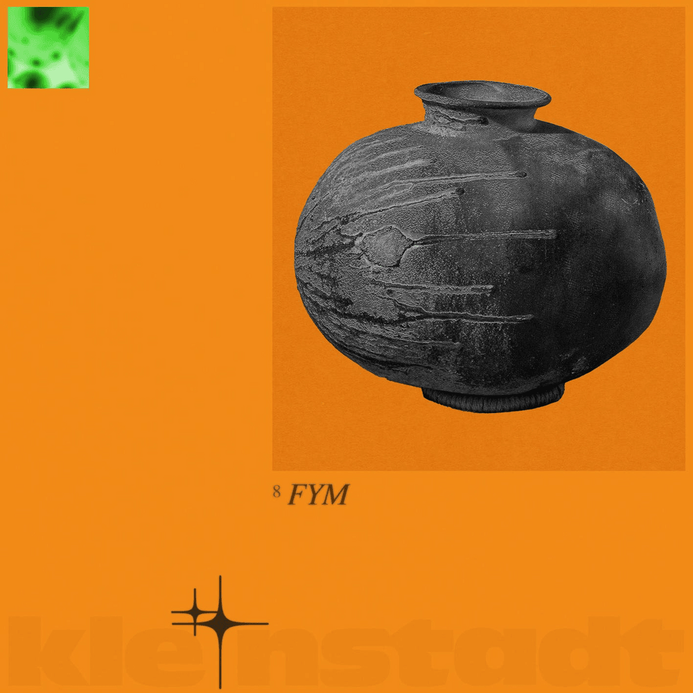 Album cover art for "FYM" by RIN