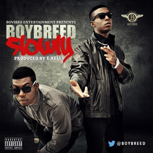 Album cover art for "Slowly" by Boybreed